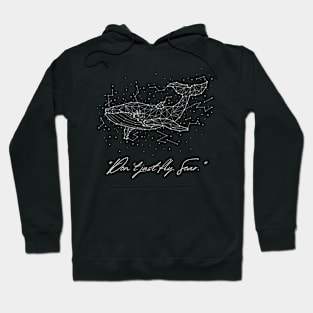 DON'T JUST FLY SOAR Hoodie